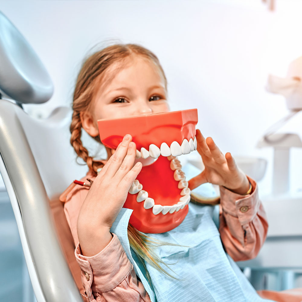 Stomatologia dziecięca, dziecko trzymające makietę szczęki